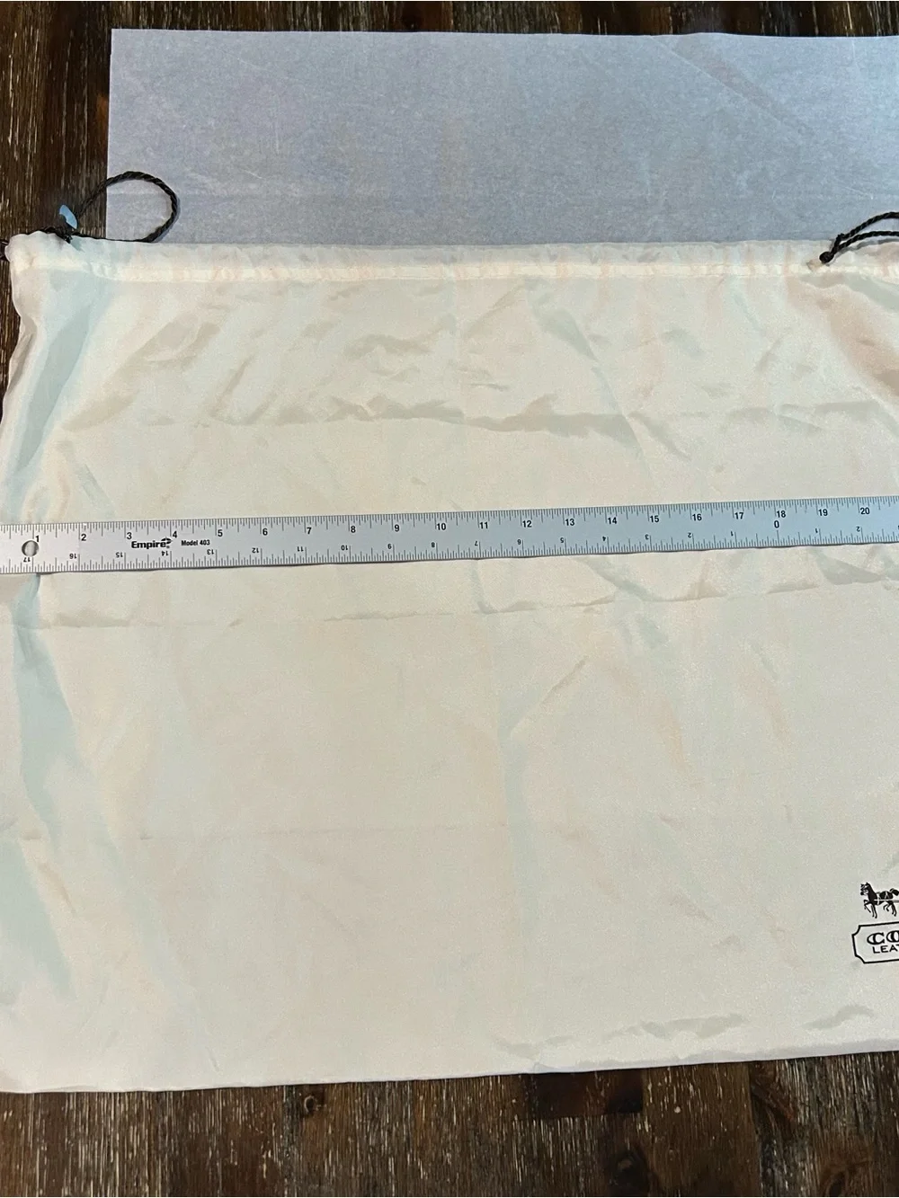 LARGE COACH CHAMPAGNE SILKY BAG
